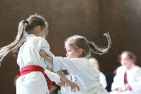 2015/150426_Randori_1_Maedchen/150426_Vereinsrandori_I_0021.JPG