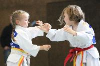 2015/150531_Bezirksmeisterschaft_U10w_U12w/150531_0028.jpg