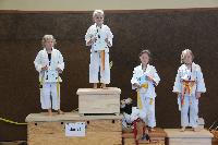 2015/150531_Bezirksmeisterschaft_U10w_U12w/150531_0051.jpg